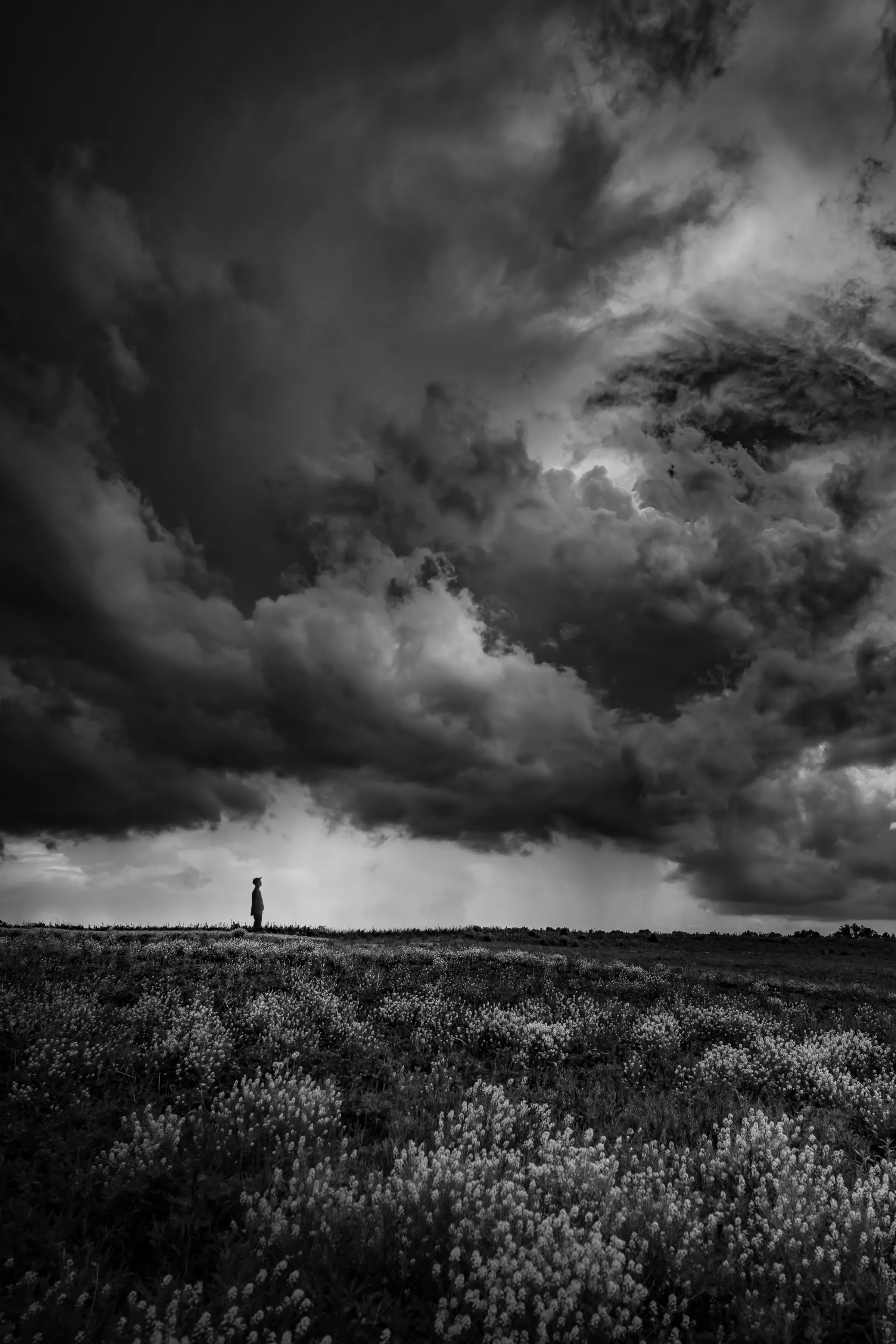A lone figure in a field under dark storm clouds