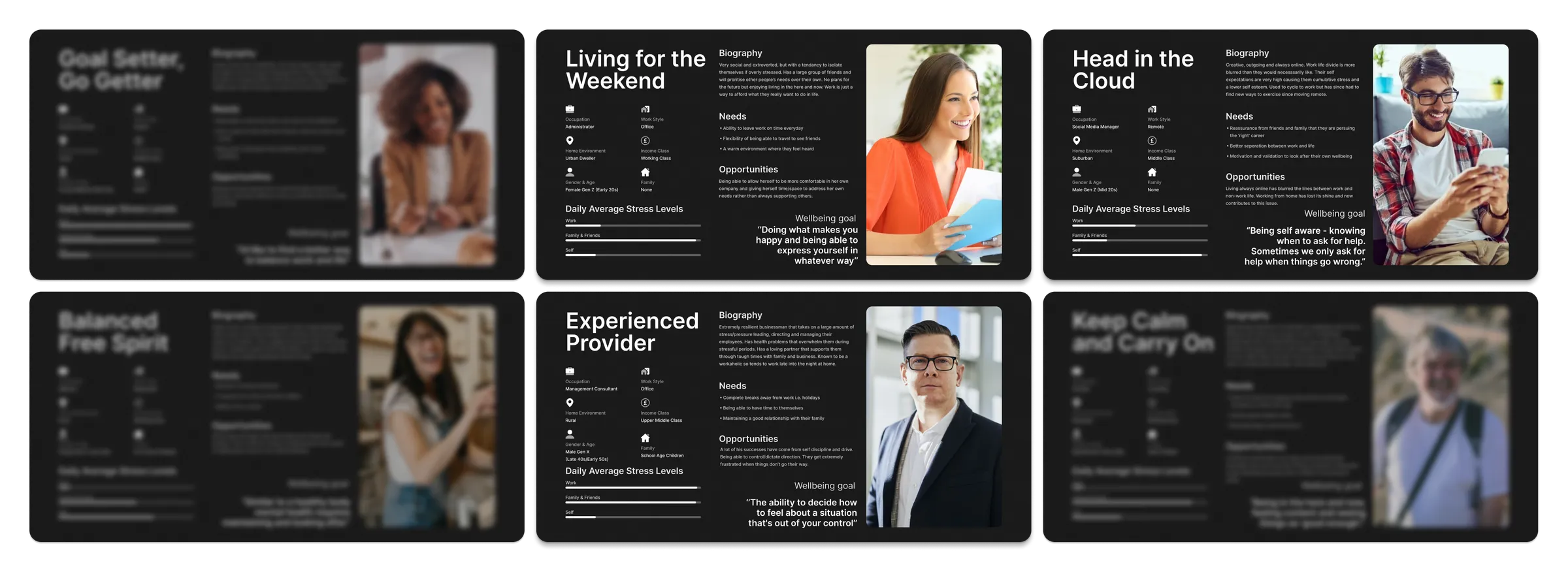 The six personas with three highlighted for further work: Living for the Weekend, Head in the Cloud and Experienced Provider